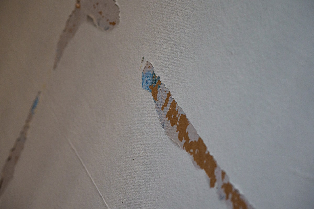 Water Extraction service in Waukesha, WI